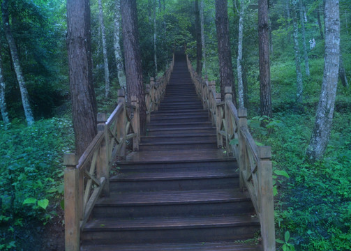 小七孔风景