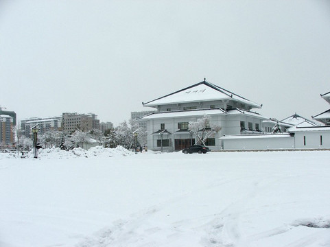 冬季雪景