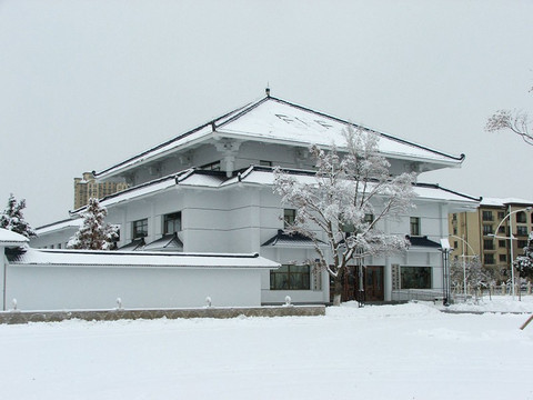 雪景