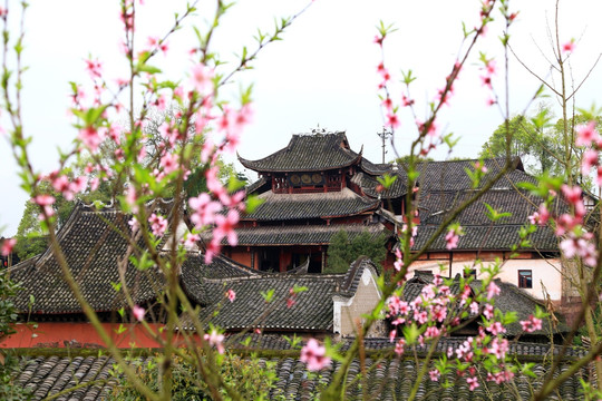 古镇 桃花 寺庙