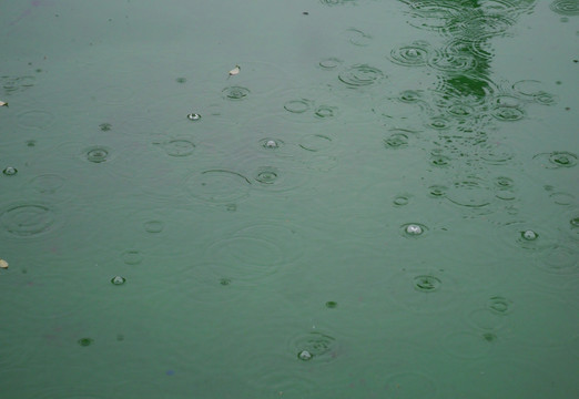 落雨的湖面