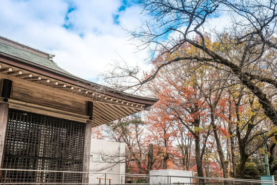 日本江户建筑园