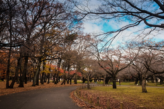 日本公园