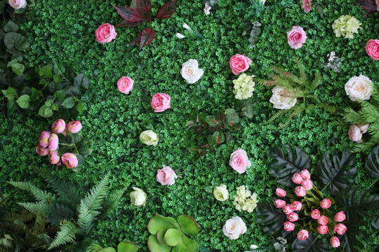 绿色植物墙 绿植 花墙
