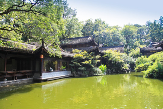 杭州西湖 花港观鱼