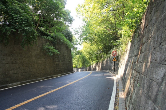 林荫山路 山间公路