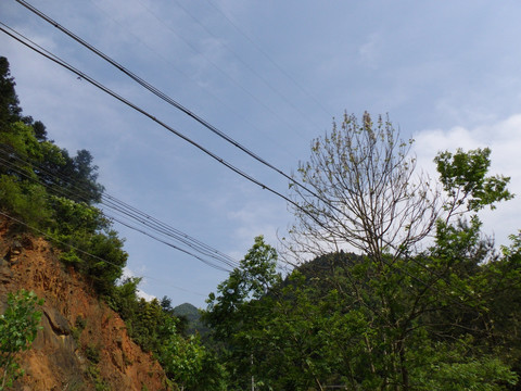 蓝天风景