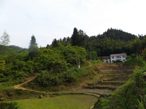 山村风景