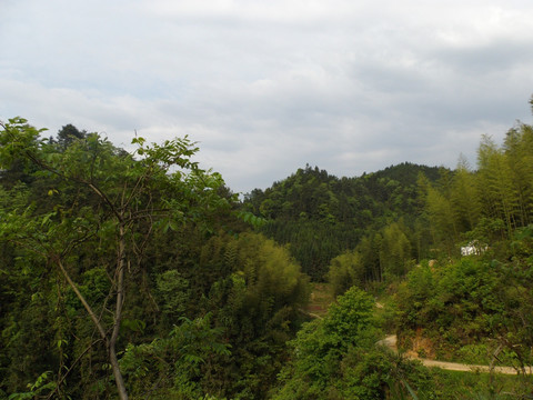 山乡风景