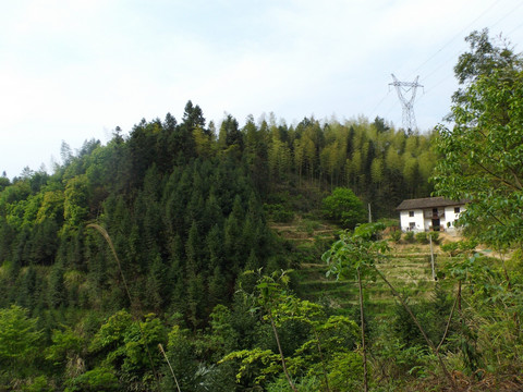 山乡风景