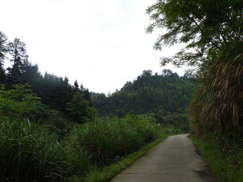 乡村公路