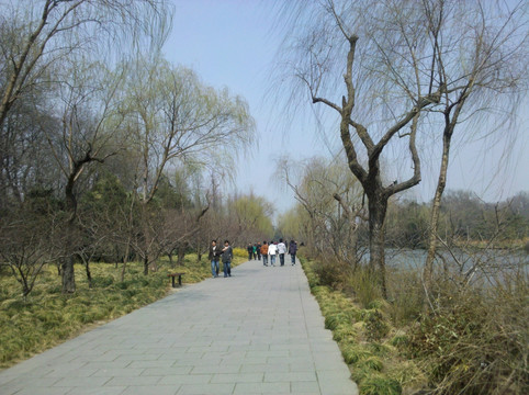 江南公园景观 江南园林 公园