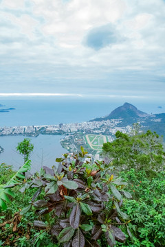 南美洲 巴西 里约 基督山