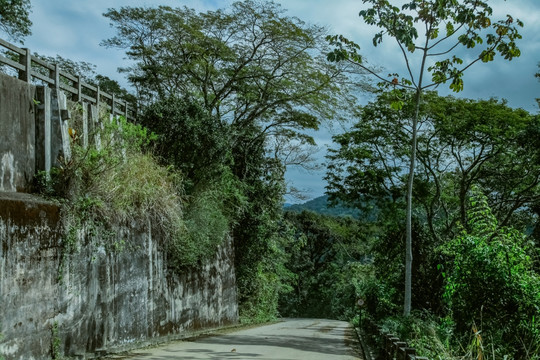 南美洲 巴西 里约 基督山