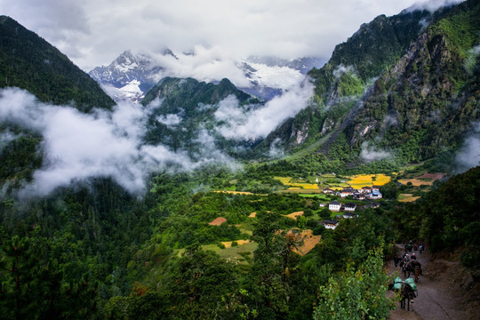 香格里拉 雨崩