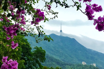 云雾缭绕梧桐山深圳第一峰 