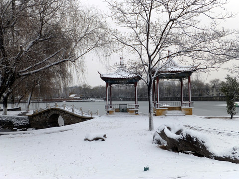 公园积雪  冬天公园