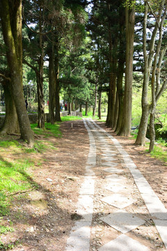 庐山旅游摄影