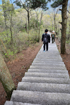 小路 石阶路