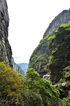 廬山自然環(huán)境