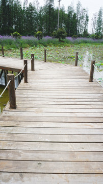 池塘上的木板桥