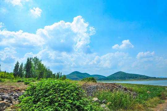 湖畔风景