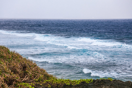 海洋