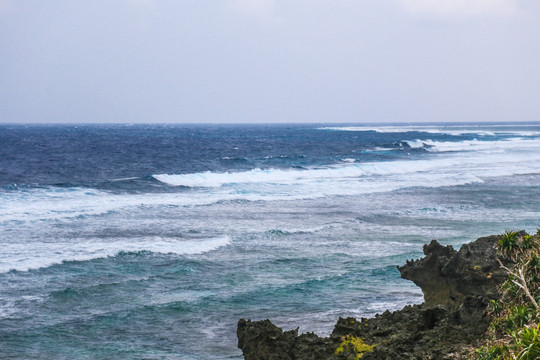 海洋