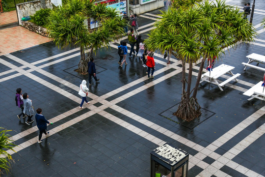 城市街景