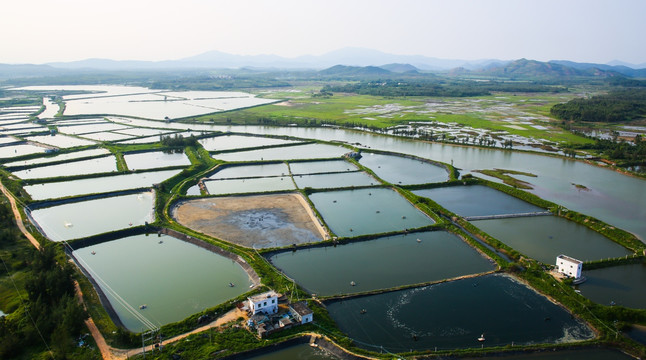 大地 海水养殖场