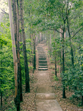 登山 