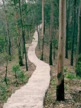 山间小路 