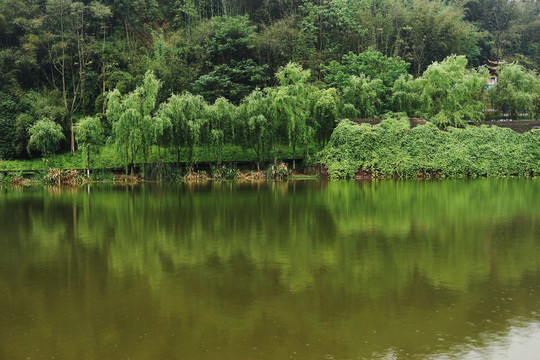 水溏