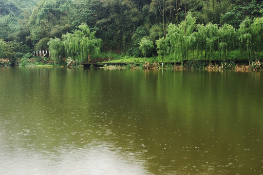 湖光雨景