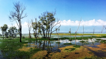 苍山洱海 