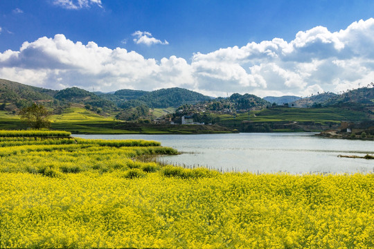 油料基地