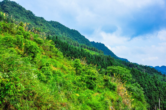 山岭风光