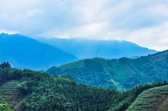 山岭风光