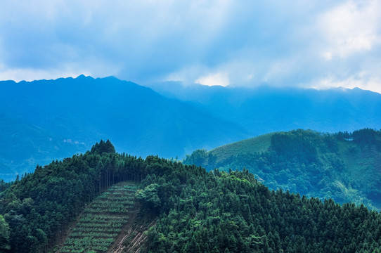 山岭风光