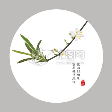 手繪吊蘭花開