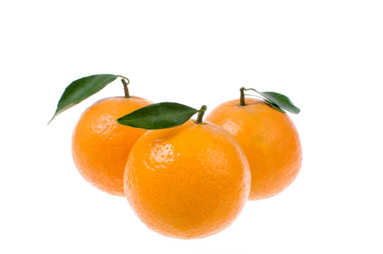 柑橙