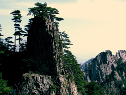 黄山岩石奇松