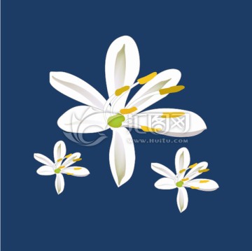 吊蘭花手繪