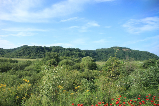 自然风景