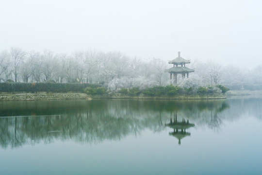 烟雨江南