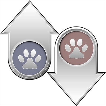 箭頭矢量圖