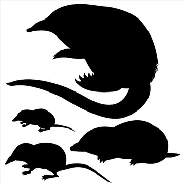 動物剪影矢量圖