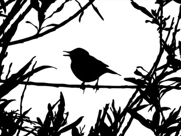 鳥在樹枝上