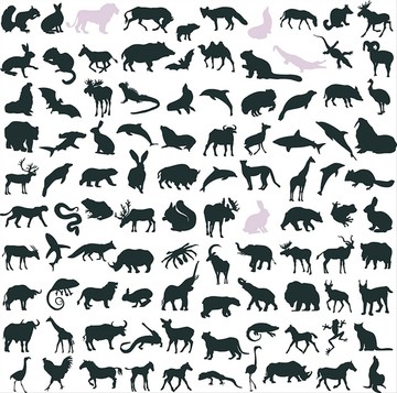動(dòng)物剪影圖