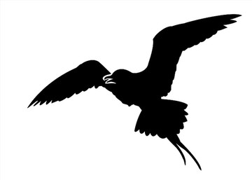 鳥矢量剪影
